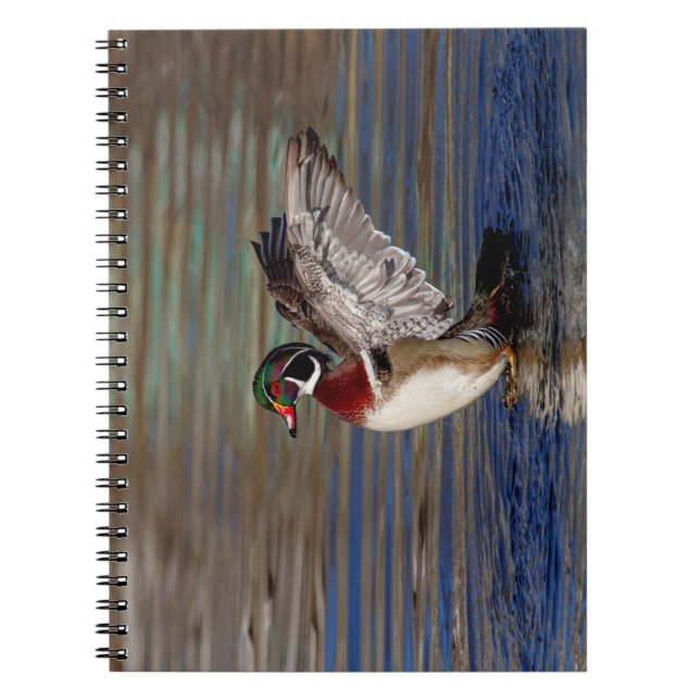 Cuaderno Pato de madera (Frente)