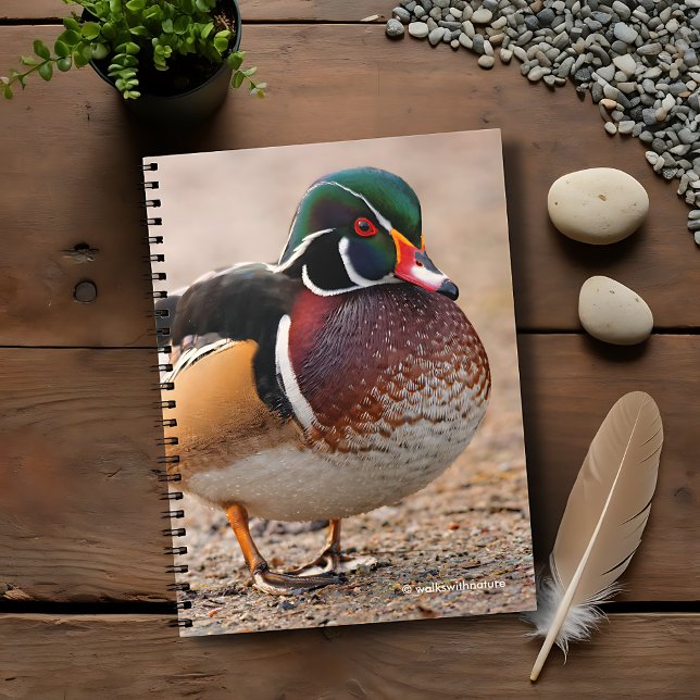 Cuaderno Pato de madera en grava (Wood Duck on Gravel Journal Cover Photo)