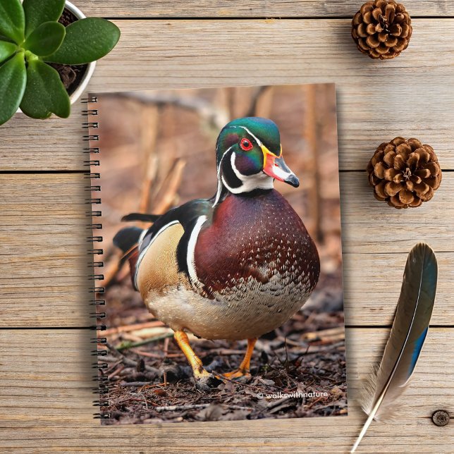 Cuaderno Pato de madera macho en el bosque (Wood Duck in the Woods Journal Cover Photo)