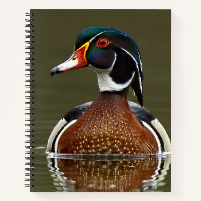 Cuaderno Pato de madera sobre el agua (Anverso)