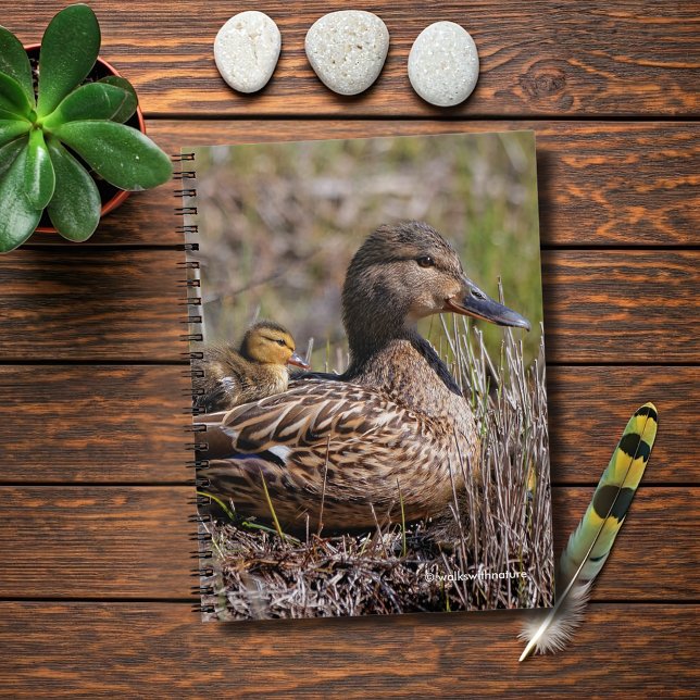 Cuaderno Pato de mamá mallard de Cute Chillin y Duckland be (Chillin' Mallard Mom and Baby Journal Cover Photo)