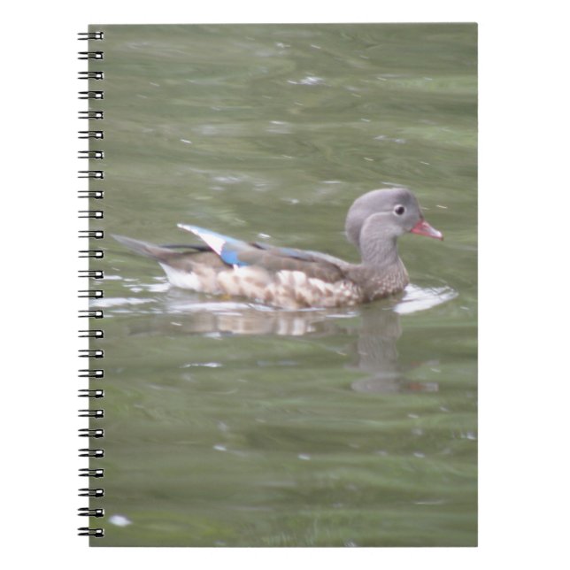 Cuaderno Pato en el bloc de notas del lago (Frente)