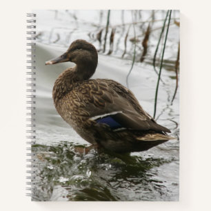 Cuaderno Pato gris en el lago oscuro
