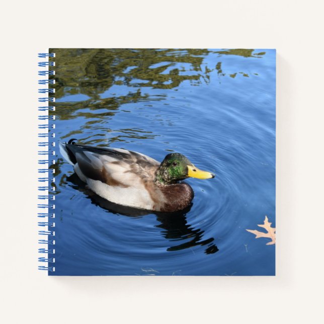 Cuaderno Pato Mallard del Conservatorio de Agua de Central  (Anverso)