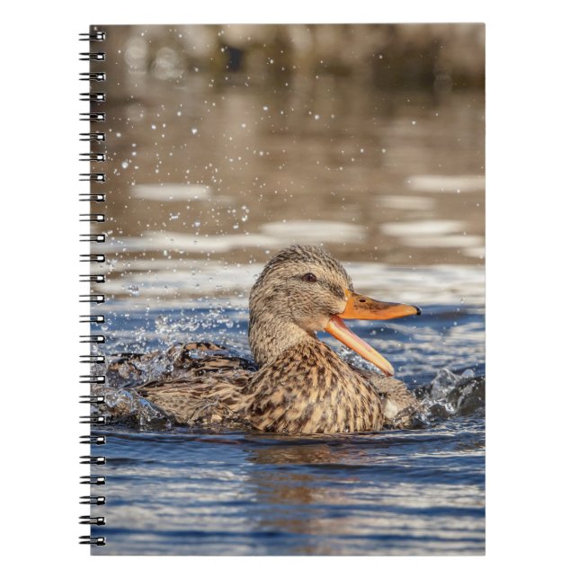 Cuaderno Pato Mallard en Downing Park (Frente)