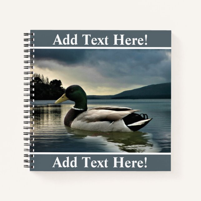 Cuaderno Pato Mallard En El Lago (Anverso)