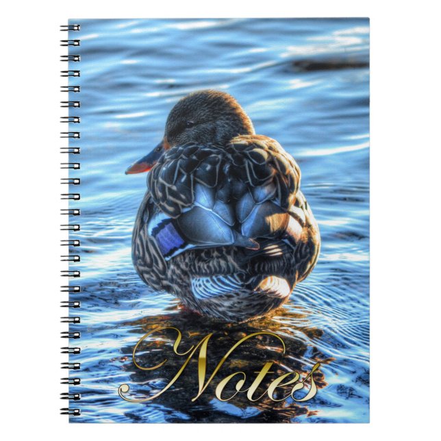 Cuaderno Pato Mallard en río Invierno - Foto de vida silves (Frente)