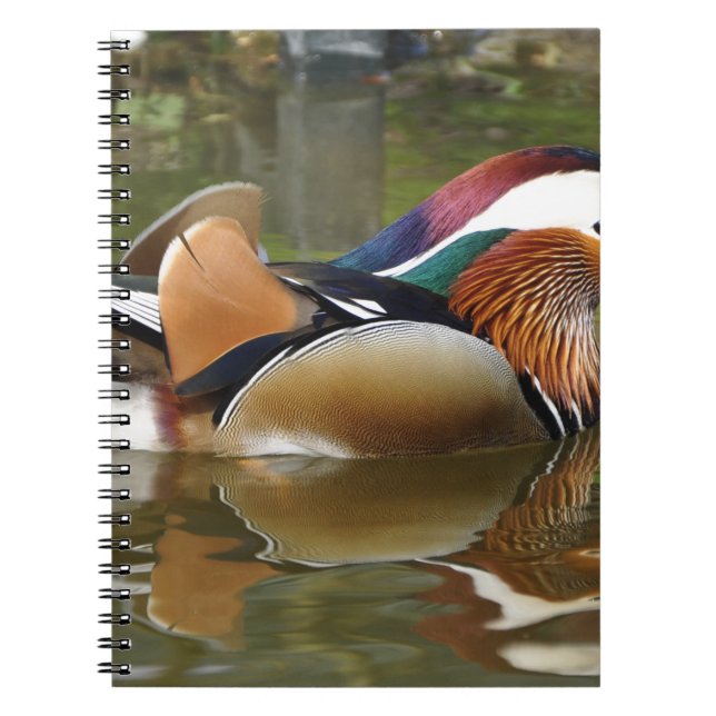 Cuaderno pato mandarino (Frente)