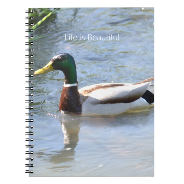 Cuaderno Pato Real (mi fotografía) (Frente)