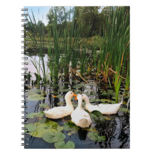 Cuaderno Patos blancos clásicos en un hermoso lago