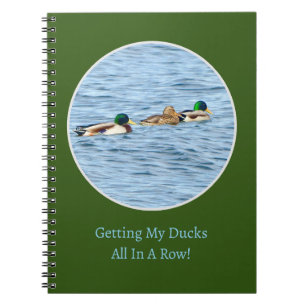 CUADERNO PATOS/ "PONIENDO MIS PATOS EN FILA"