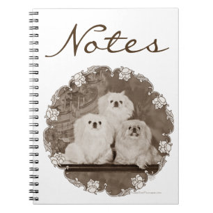 Cuaderno Patrimonio