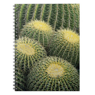 Cuaderno Patrón de cactus