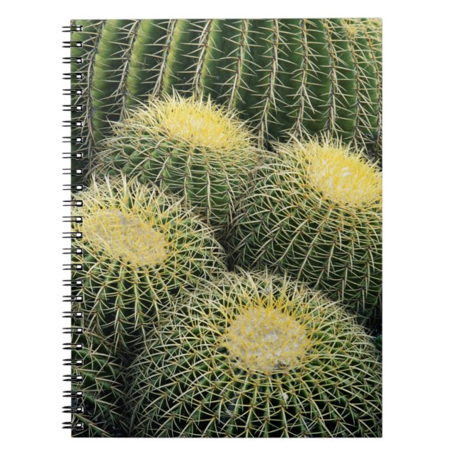 Cuaderno Patrón de cactus (Frente)
