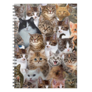 Cuaderno Patrón de caras de gato