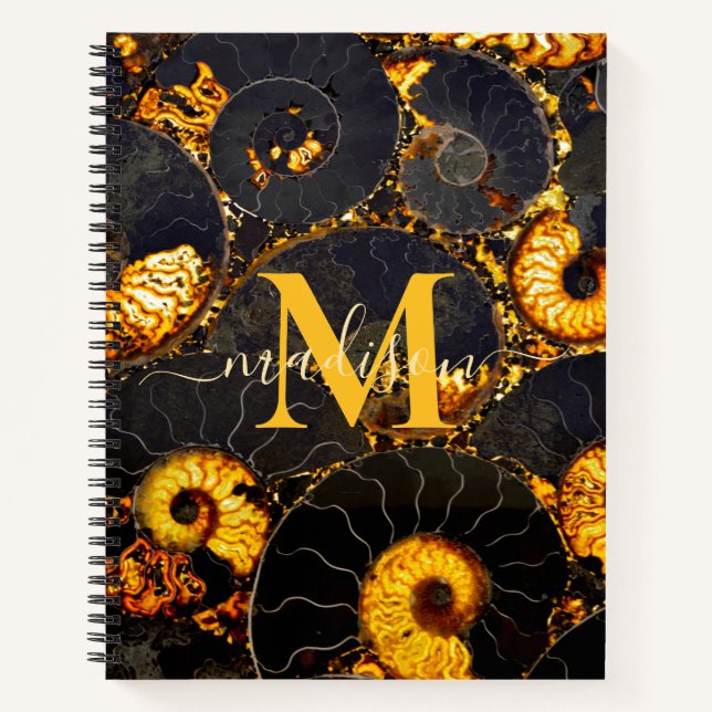 Cuaderno Patrón de cáscara de cáscara de Amber negro, fósil (Anverso)