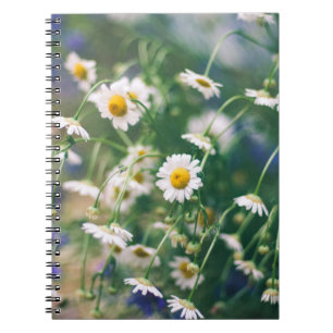 Cuaderno Patrón de flores de verano en pradera verde con az