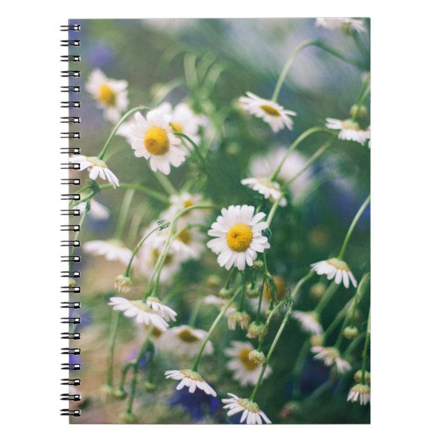 Cuaderno Patrón de flores de verano en pradera verde con az (Frente)