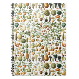 Cuaderno Patrón de frutas Adolphe Millot