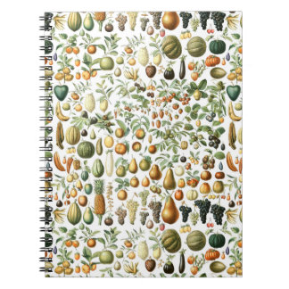 Cuaderno Patrón de frutas Adolphe Millot