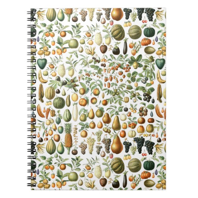 Cuaderno Patrón de frutas Adolphe Millot (Frente)