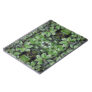 Cuaderno Patrón de Hoja de Árbol de Caucho