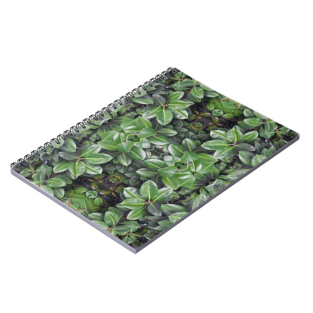 Cuaderno Patrón de Hoja de Árbol de Caucho (Lado Izquierdo)