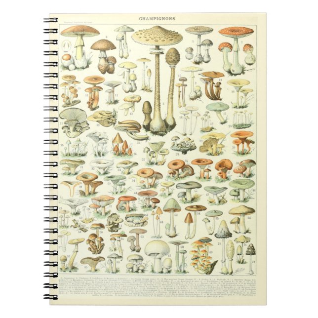 Cuaderno Patrón de hongos para portátiles Adolphe Millot (Frente)