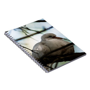 Cuaderno Patrón de línea