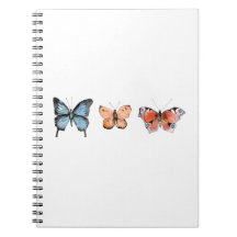 Patrón de mariposa