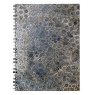 Cuaderno Patrón de piedra de Michigan Petoskey