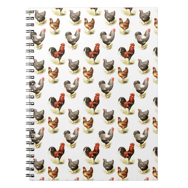 Cuaderno Patrón de pollo del país (Frente)