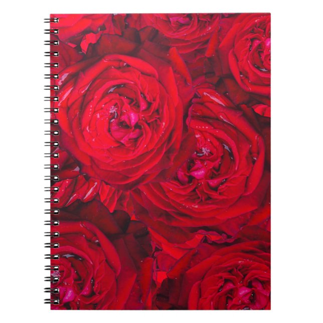 Cuaderno Patrón de rosas rojas profundas (Frente)