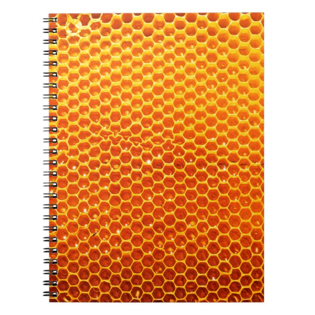 Cuaderno Patrón de una sección del peine de cera de una abe (Frente)