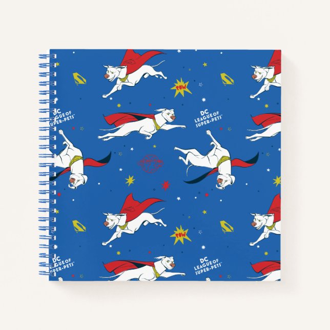 Cuaderno Patrón de vuelo de Krypto (Anverso)