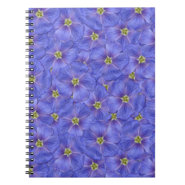 Cuaderno Patrón sin foco azul (Frente)
