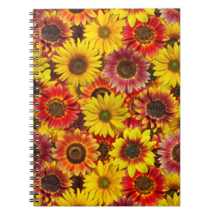 Cuaderno Patrón sin foco de los girasoles