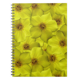 Cuaderno Patrón sin soldadura de Shrubby Cinquefoil