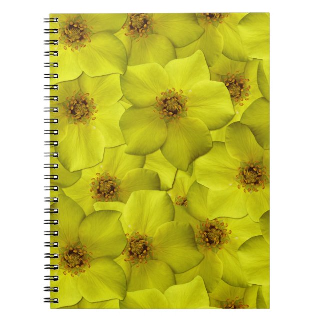 Cuaderno Patrón sin soldadura de Shrubby Cinquefoil (Frente)