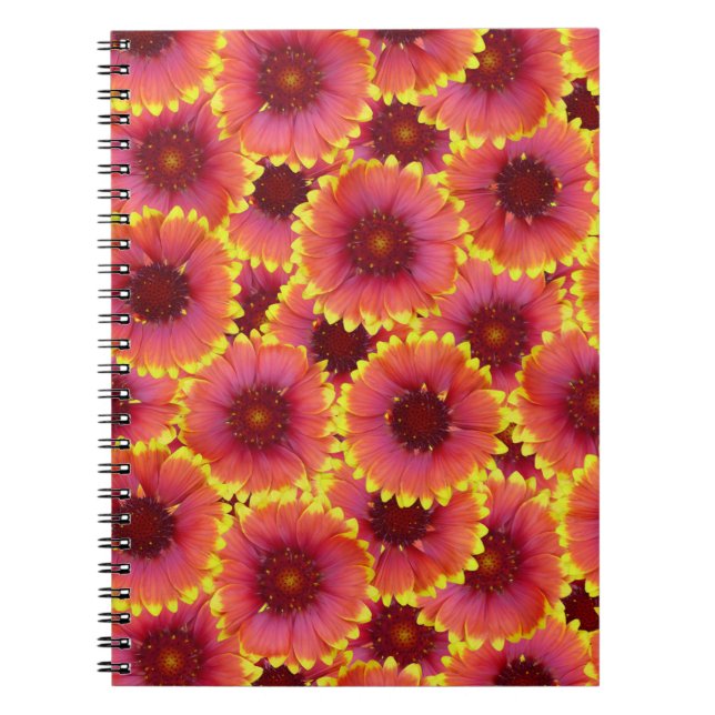 Cuaderno Patrón sin soldadura Gaillardia (Frente)