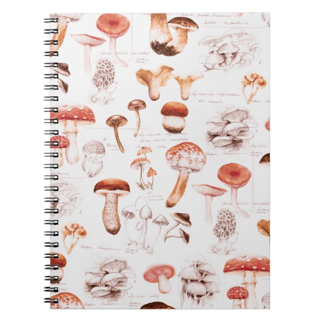 Cuaderno Patrón transparente de la diff con acuarela dibuja (Frente)