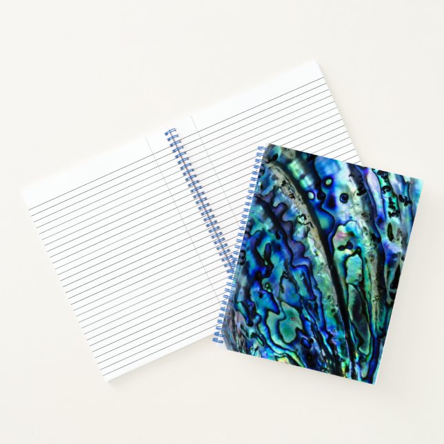 Cuaderno Paua Abalone Shell (Interior)