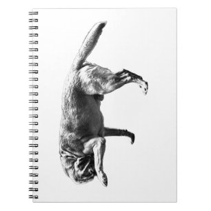 Cuaderno Pausa de Candid