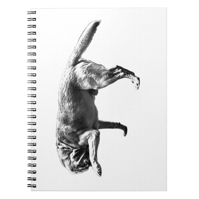 Cuaderno Pausa de Candid (Frente)