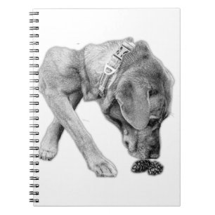 Cuaderno Pausa reflexiva en blanco y negro