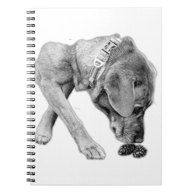 Cuaderno Pausa reflexiva en blanco y negro (Frente)