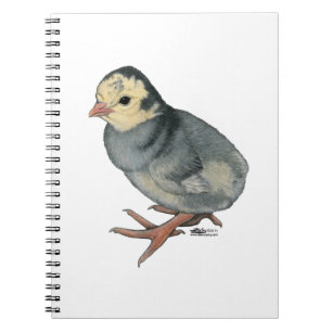 Cuaderno Pavo de Berza Azul Pizarra