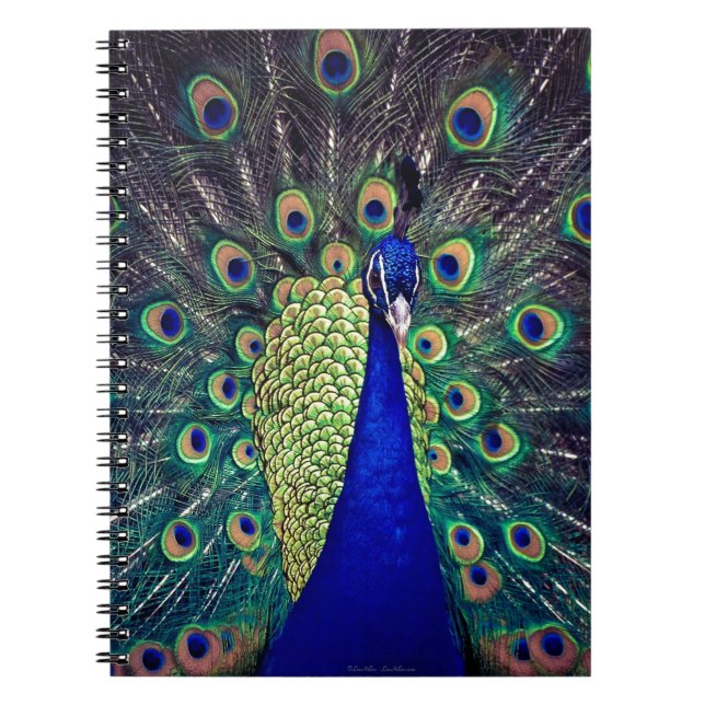 Cuaderno Pavo Real Azul Cobalto (Frente)