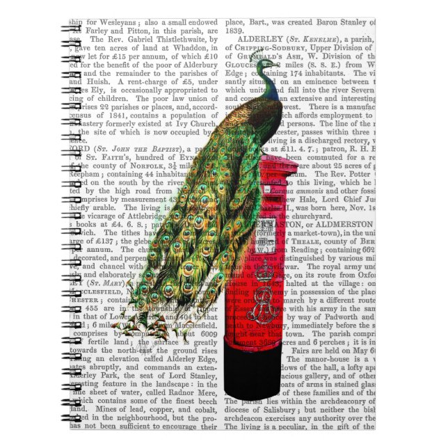 Cuaderno Pavo real en buzón (Frente)