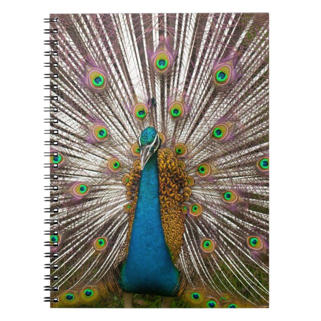 Cuaderno Pavo real pacífico (Frente)
